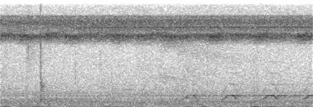 Black-tailed Trogon - ML385434271