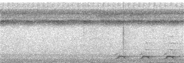 Black-tailed Trogon - ML385434931
