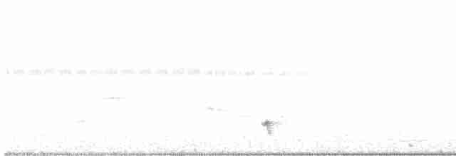 Black-striped Sparrow - ML385449221