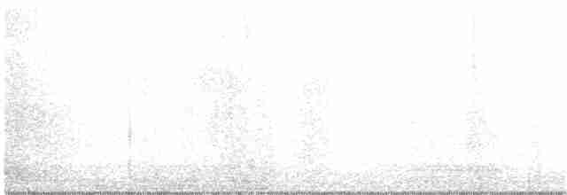 Дрізд-короткодзьоб плямистоволий - ML385462371