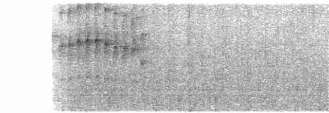 Diken Kuyruklu Derekoşarı - ML385470201