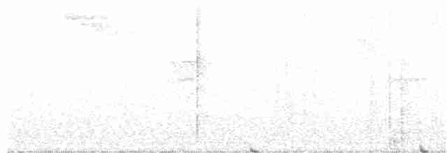 Weißkehl-Ameisenvogel - ML385544881