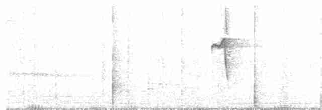 kolibřík šedobřichý - ML385544951