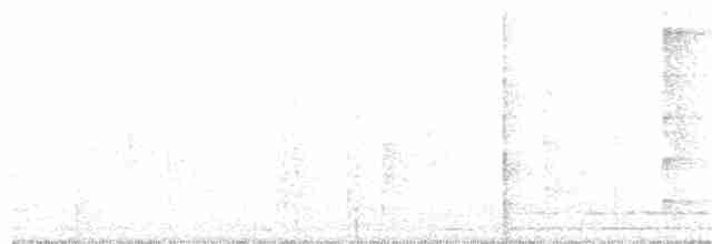 Тиран-інка буроголовий - ML385545031