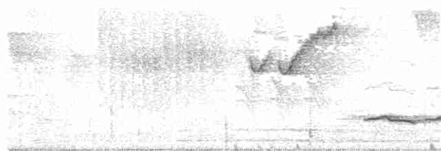 Белогрудый крапивник (pittieri/costaricensis) - ML385545051