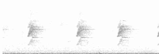 Grünschattenkolibri - ML385551571