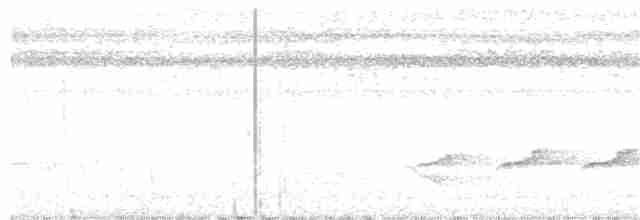 Мурав’янка сірочерева - ML385602981