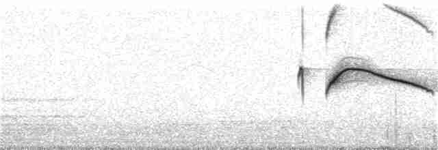 White-tailed Nightjar - ML385687851