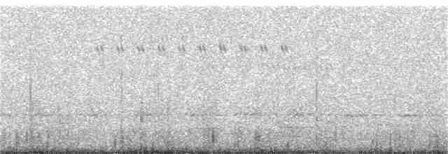Weißschwanz-Nachtschwalbe - ML385687861