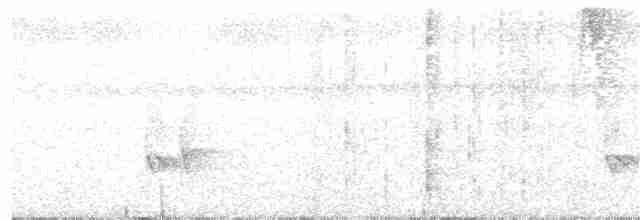 Çizgili Gerdanlı Çıtkuşu - ML385691601