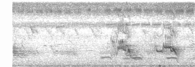 黑冠椋鳥 - ML385710001