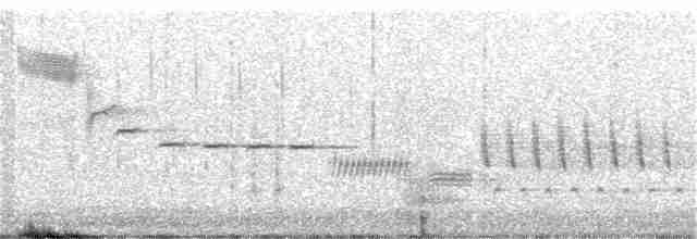 Длиннохвостый крапивник - ML385816221
