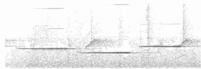 Каштановогрудый крапивник - ML38581651