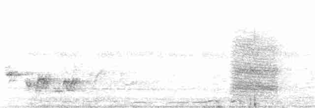 Абиссинская сизоворонка - ML385914091