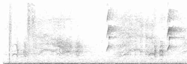Gray-crowned Babbler - ML385948261