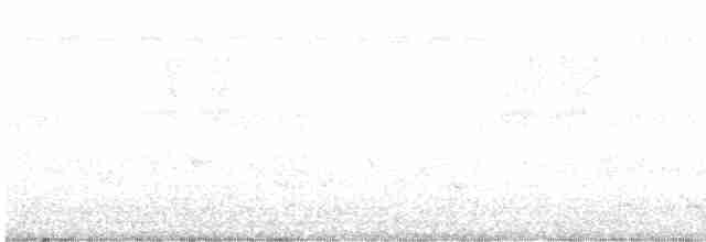 インドチャイロツバメ - ML385959181