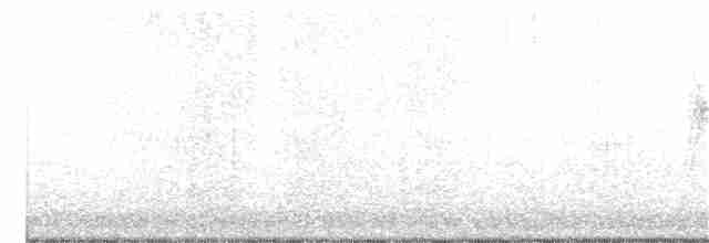 Длиннохвостый крапивник - ML386055971
