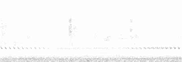 Troglodyte de Baird - ML386116571