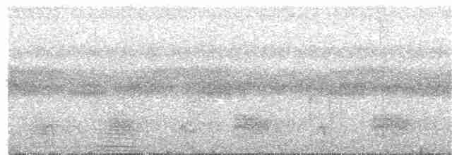 Anabate à croupion roux - ML386139641