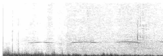 Tinamou sauvageon - ML386159841