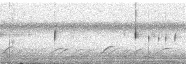 Fork-tailed Flycatcher - ML386178661