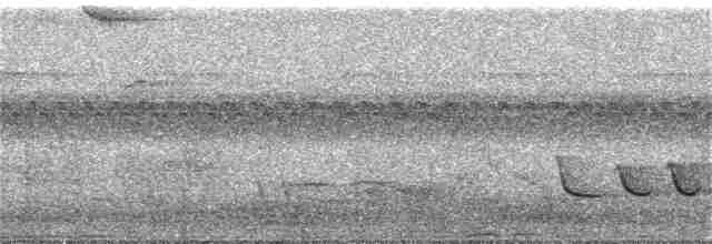 hvitvingebekard - ML386192841