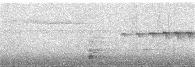Roraima Karıncakuşu - ML386198461
