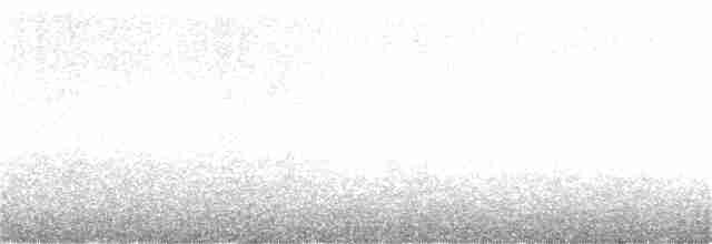 Американский бекасовидный веретенник - ML386241921