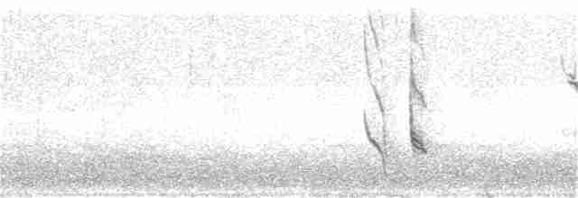strnadec zpěvný (ssp. sanaka/maxima) - ML386244331