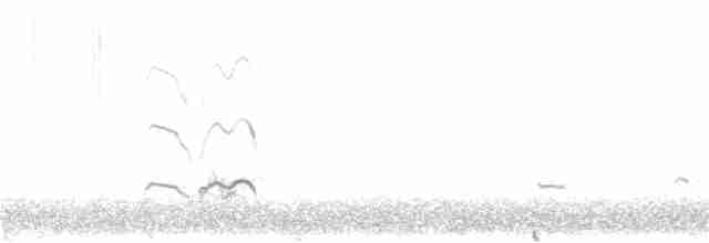 太平洋金斑鴴 - ML386244641