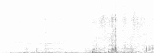 Petit-duc à face blanche - ML386282161