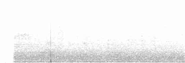 Bicknell Bülbül Ardıcı - ML38635741