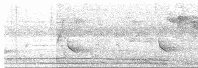 Tinamou à grands sourcils - ML386394111