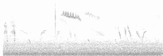 Grive mauvis (iliacus) - ML386420181