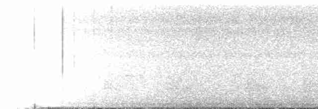Кустарниковая эуфония - ML386456181