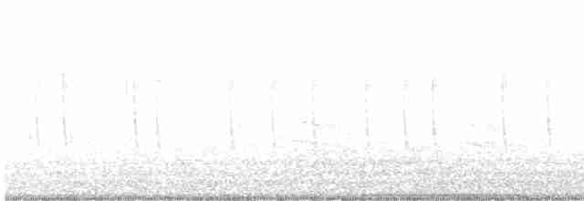 Rufous Hummingbird - ML386505381