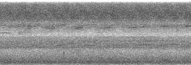 holub ametystový - ML38662