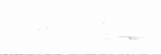 エンビアマツバメ - ML386669151
