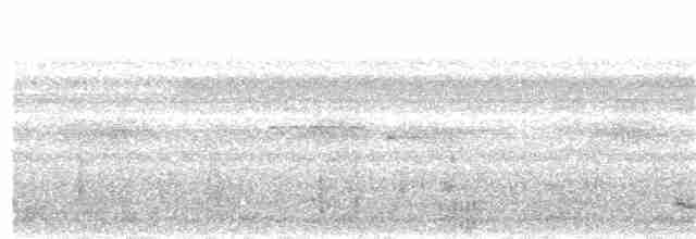 Silky-tailed Nightjar - ML386676221