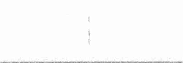 Winter Wren - ML386692101