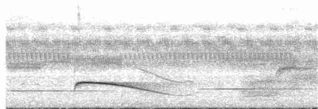 Dusky-tailed Flatbill - ML386738041