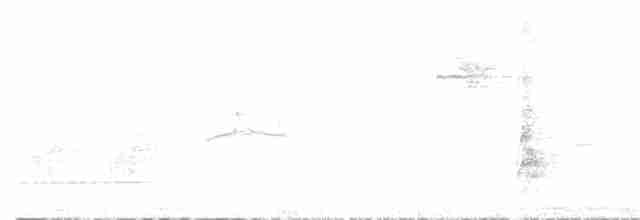 Колібрі-лісовичок буроголовий - ML386782381