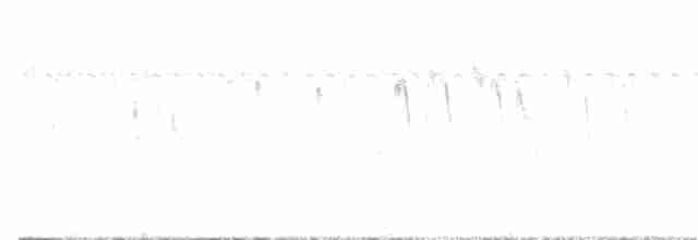 ノドジロタンビハリオアマツバメ - ML386784801