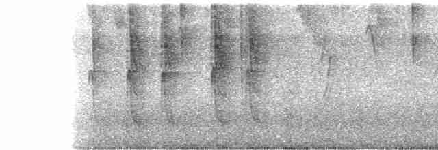 Пилоклювый колибри-отшельник - ML386892211