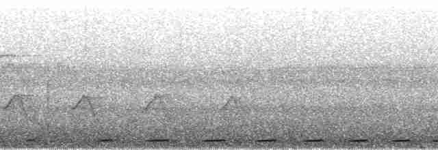 holub okrovohrdlý - ML38690