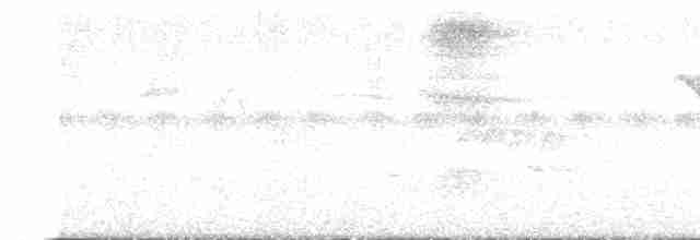 White-cheeked Barbet - ML386923361
