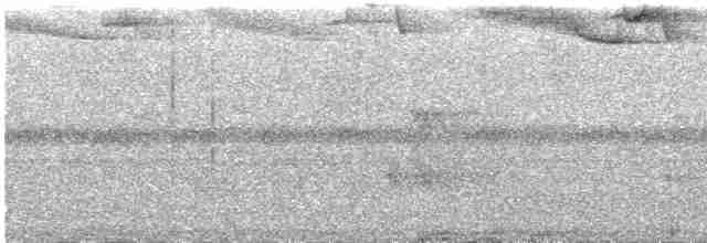 Тиранчик-мухолюб зелений - ML386941861