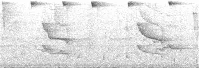 Черноухий колибри - ML386942711