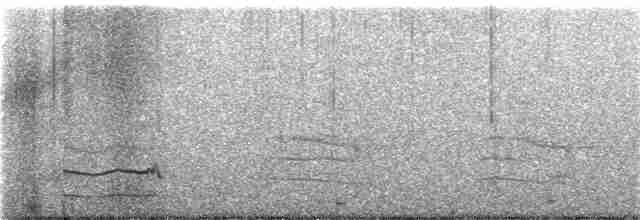 Horned Grebe - ML386952011