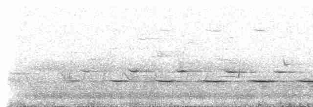 Spotted Quail-thrush - ML38696161